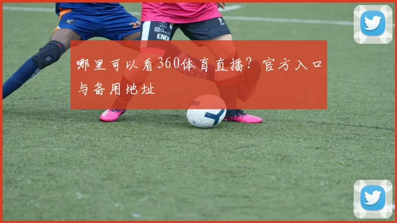 哪里可以看360体育直播？官方入口与备用地址