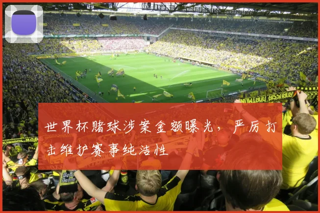 世界杯赌球涉案金额曝光，严厉打击维护赛事纯洁性