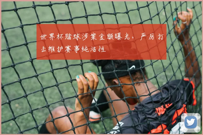 世界杯赌球涉案金额曝光，严厉打击维护赛事纯洁性