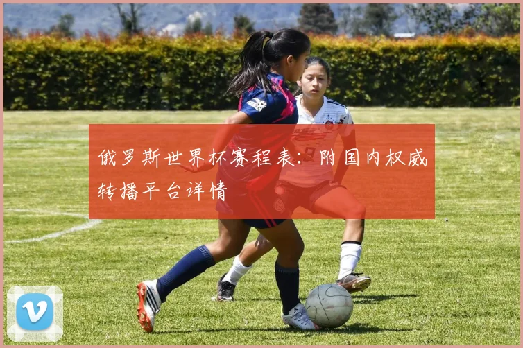 俄罗斯世界杯赛程表：附国内权威转播平台详情