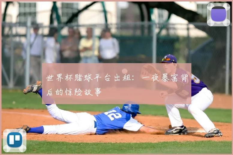 世界杯赌球平台出租：一夜暴富背后的惊险故事