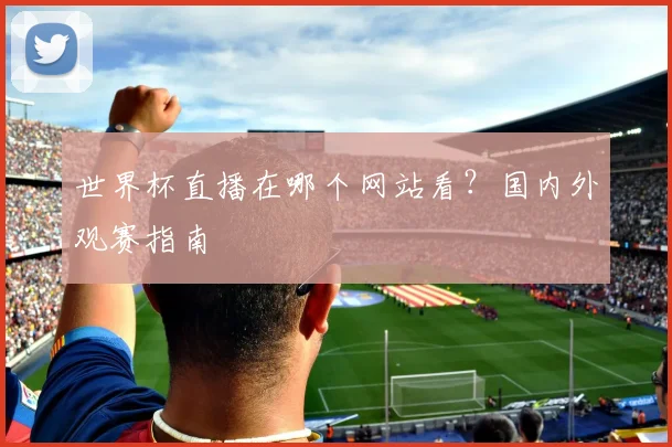 世界杯直播在哪个网站看?国内外观赛指南