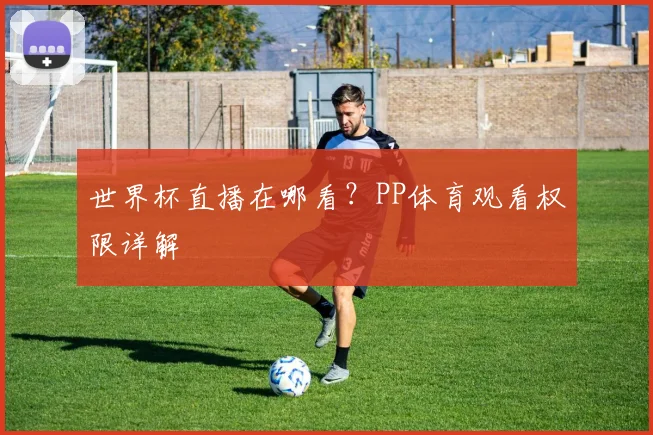 世界杯直播在哪看?PP体育观看权限详解