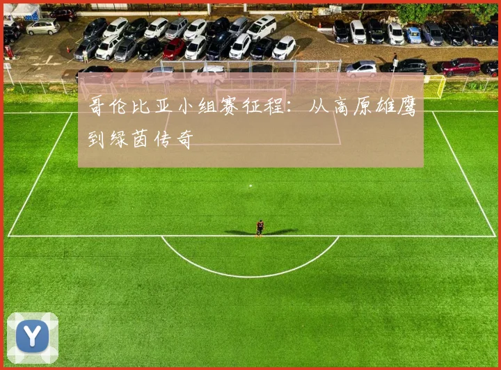 哥伦比亚小组赛征程：从高原雄鹰到绿茵传奇
